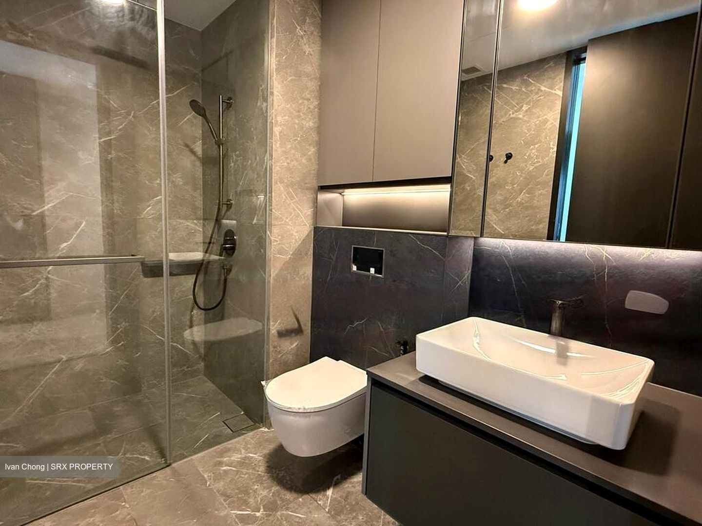 Irwell Hill Residences (D9), Apartment #464308081